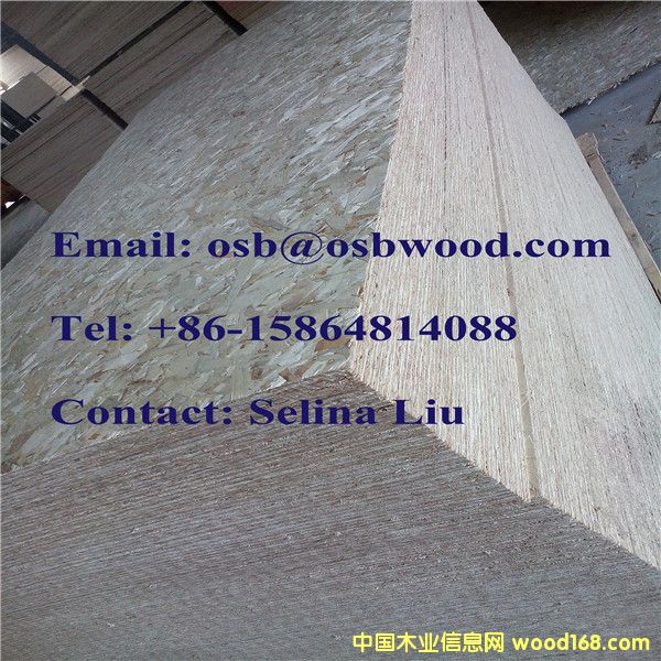 E1�zˮ 6mm �W�ɰ�