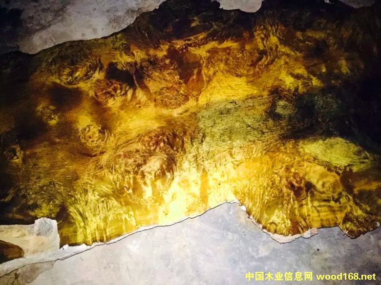 ��z�ľ�������ԭ�ϵ�Ԕ��(x��)��B