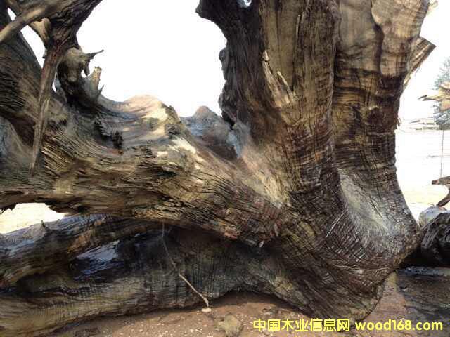 ��z骞�ľ����^1