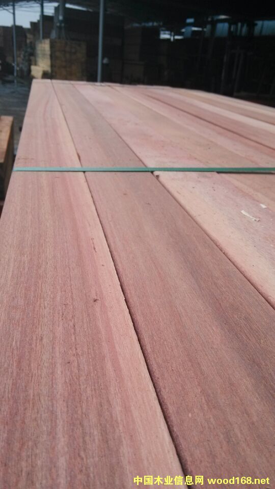 ����ľԭľ������ľ�S��