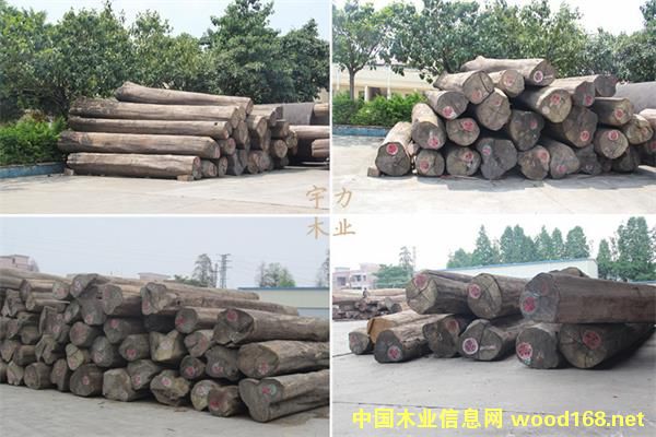 ������ľԭľ��Ԕ��(x��)��B