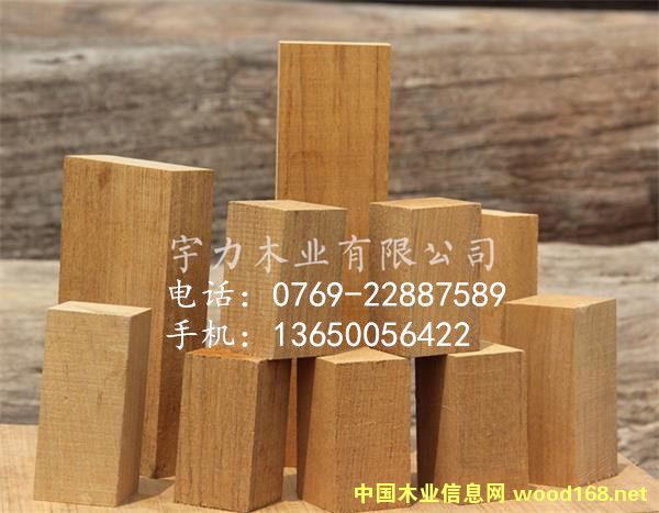 ������ľ��ˇƷҎ(gu��)��