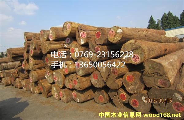 �����߳���ľ