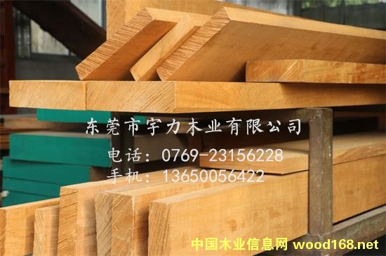 ��ľ�T�匒�϶���