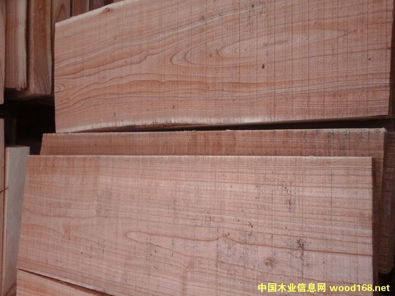 �ľ��ɰ�5��Ԕ��(x��)��B