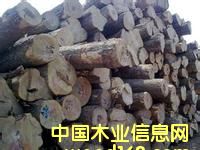 �灆�ǾGо��ľ���M�ڈ��P����-�Ϻ���ۼtľ�M�ڈ��P��˾