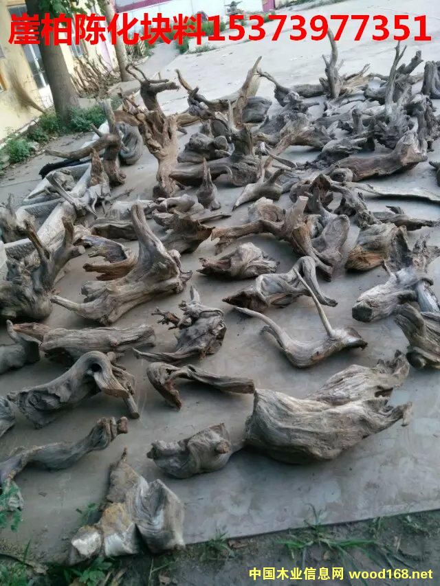 �c(di��n)���鿴�°طŴ�DƬ