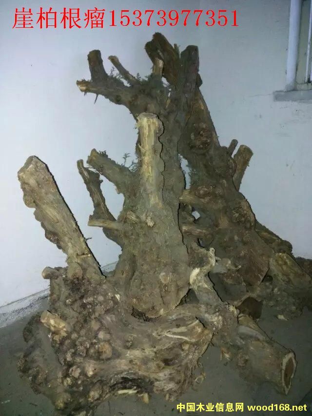 �c(di��n)���鿴�°ؘ����Ŵ�DƬ