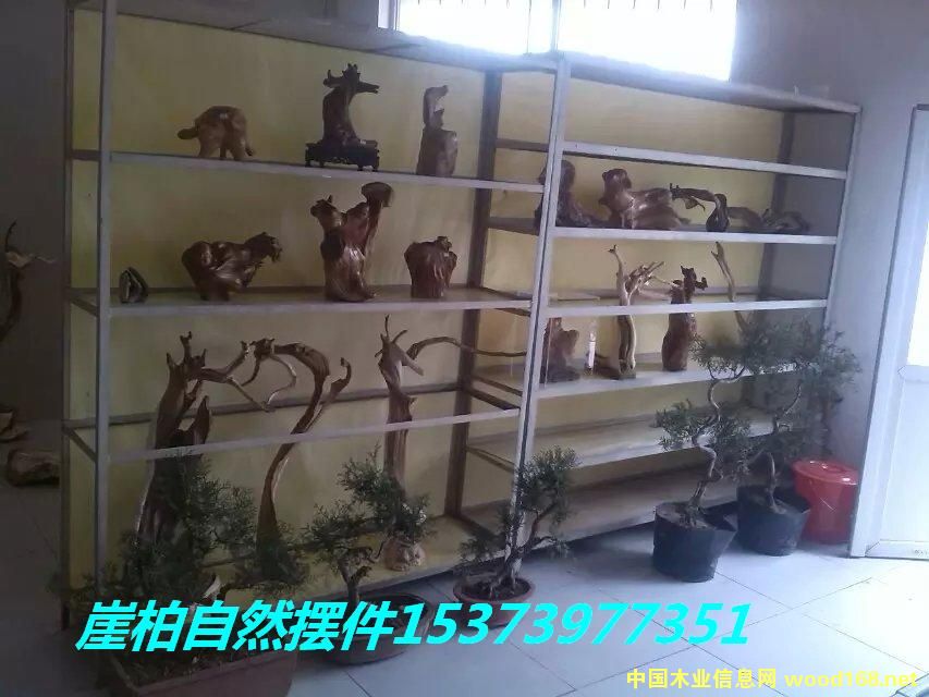 �c(di��n)���鿴�°���Ȼ�[���Ŵ�DƬ