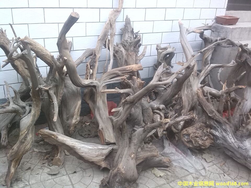 �c(di��n)���鿴�°طŴ�DƬ