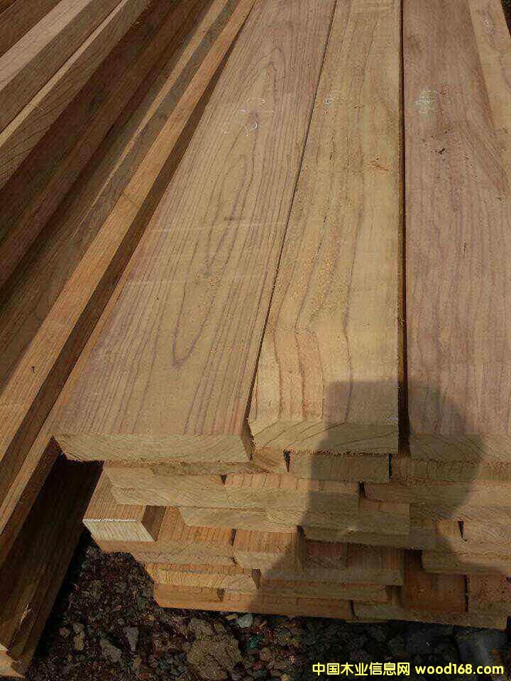 紅玫瑰的詳細介紹