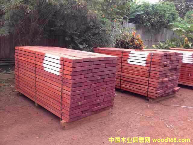 紅花梨的詳細介紹