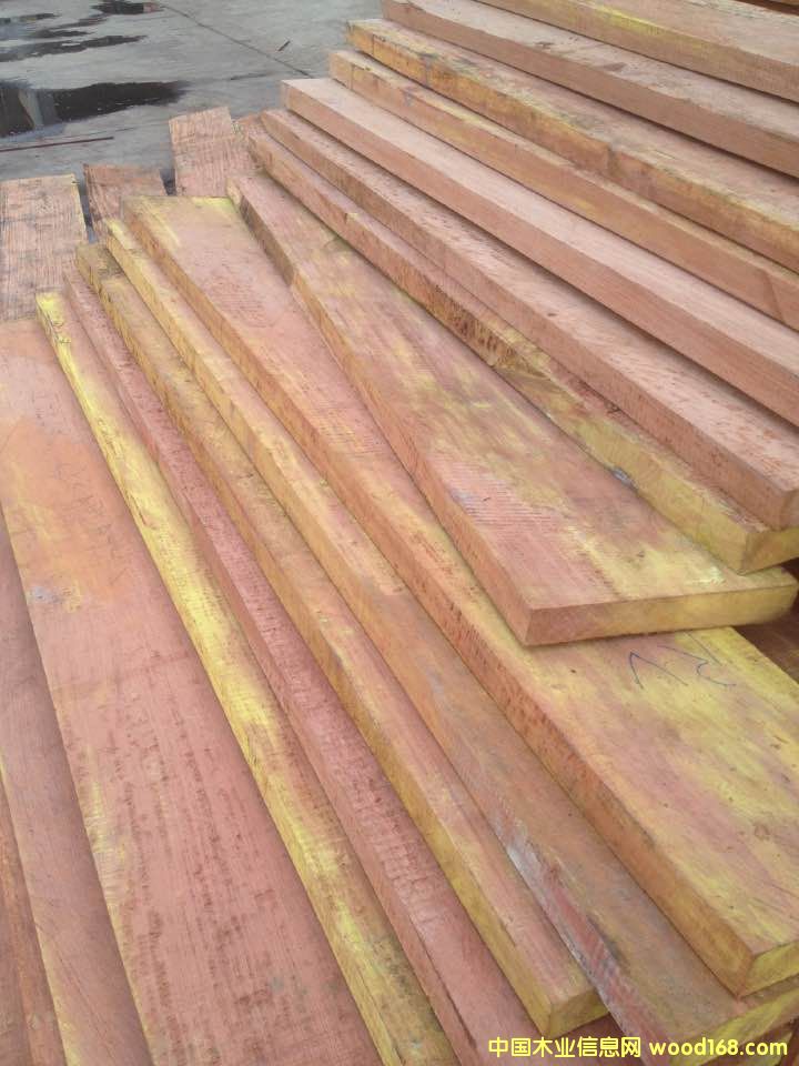 高山巴花的詳細介紹