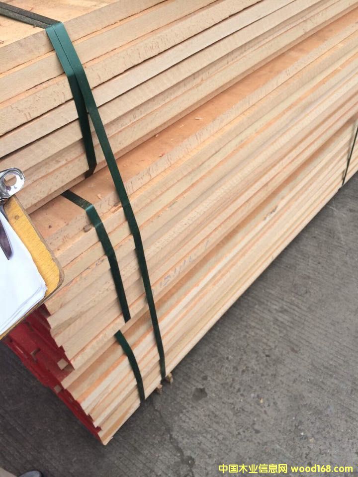 櫸木的詳細介紹