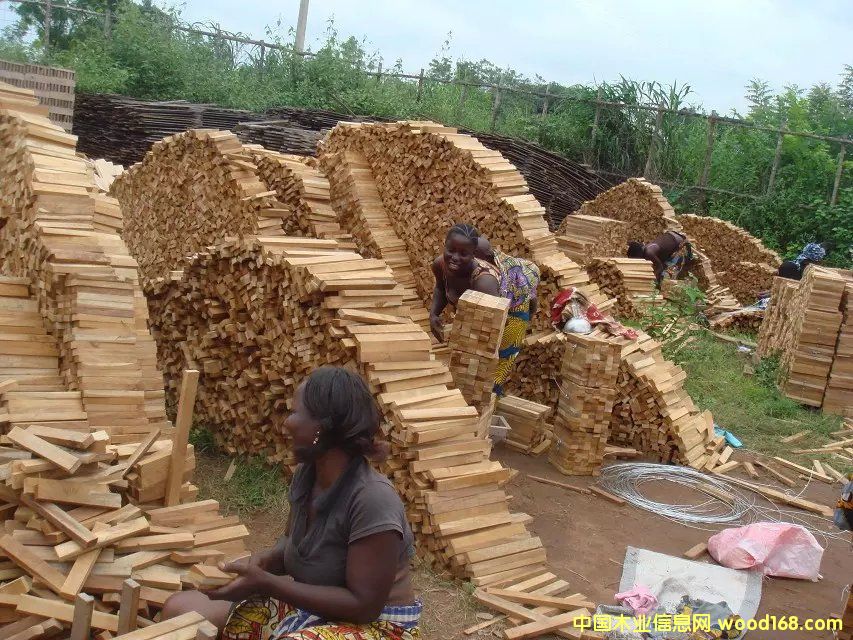 ���ǹ��S��ľ߅����