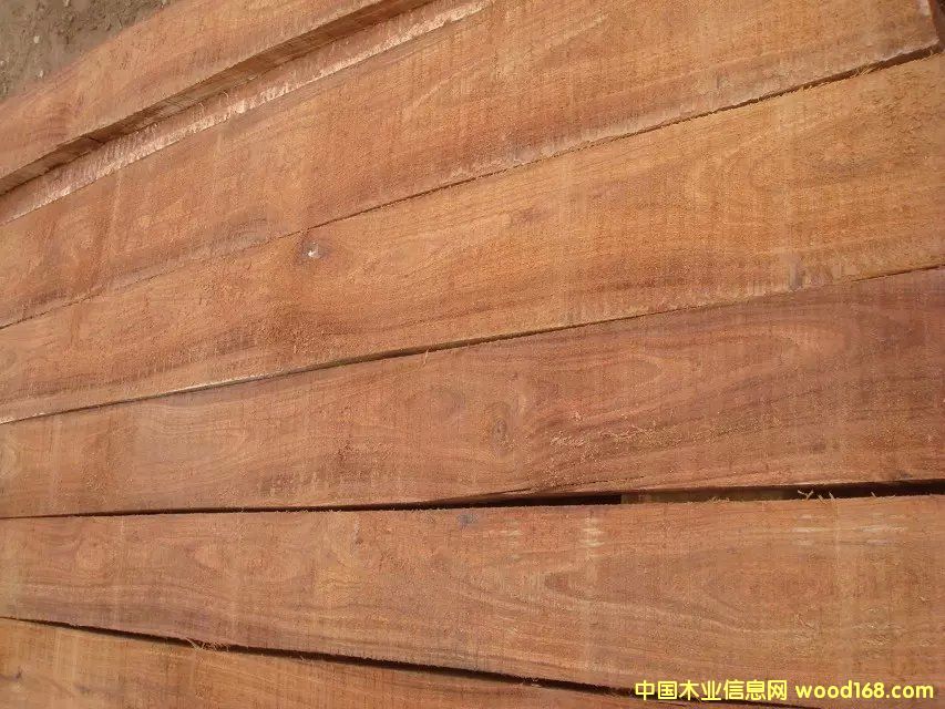 ��֬���� ˮ��