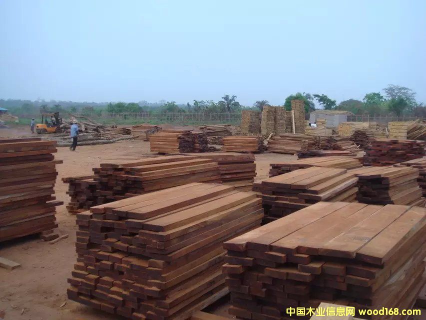 ��֬���� ˮ��