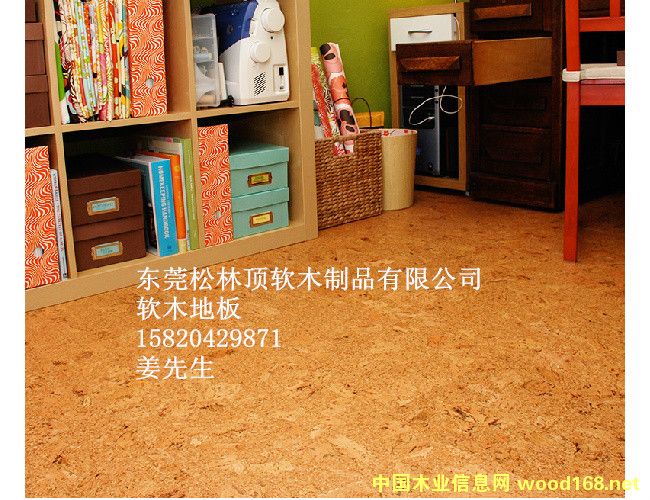 ܛľ�ذ�ϵ��