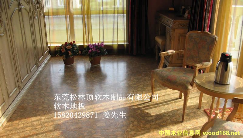 ܛľ�ذ�ϵ��