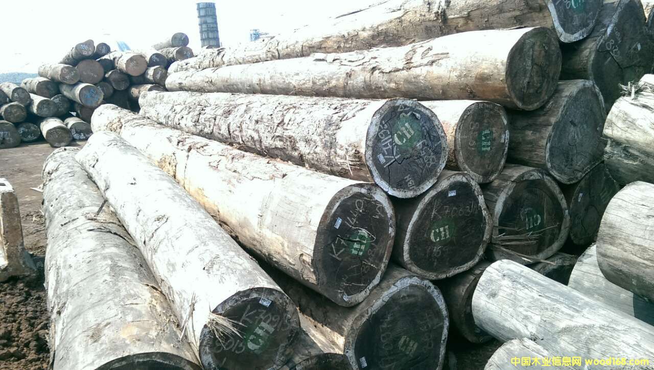 �t�����Ԕ��(x��)��B