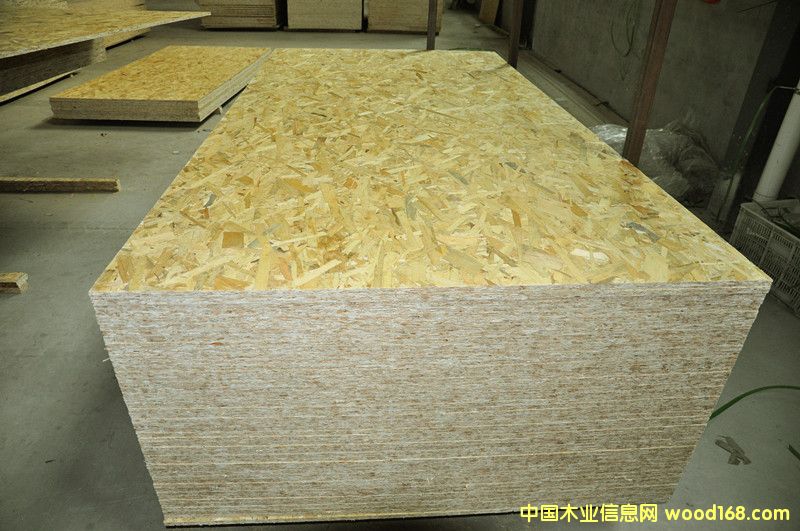 E1���W�ɰ� ���b �e��ľ�ݽ�����Ԕ��(x��)��B