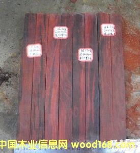 ���Cӡ��С�~��̴������