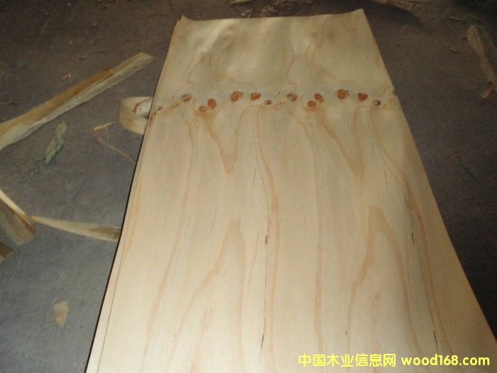 �c(di��n)���鿴ݗ���Ɇΰ�Ŵ�DƬ