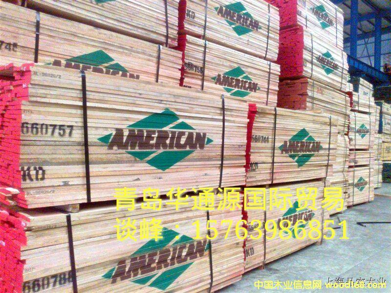 白橡的詳細(xì)介紹