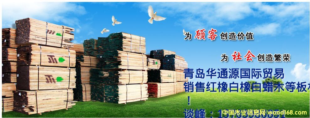 紅橡的詳細(xì)介紹