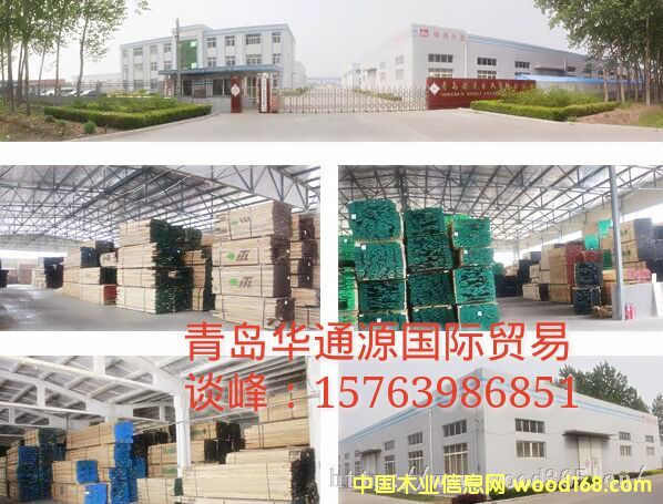 紅橡的詳細(xì)介紹