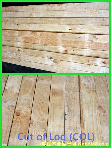 PAN PAC���Scol�Ҿ߼���Ԕ��(x��)��B