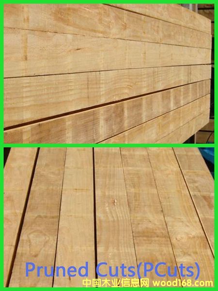 PAN PAC���SPCuts����Ԕ��(x��)��B