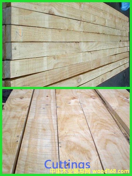 PAN PAC���Scuts�ȼ���Ԕ��(x��)��B