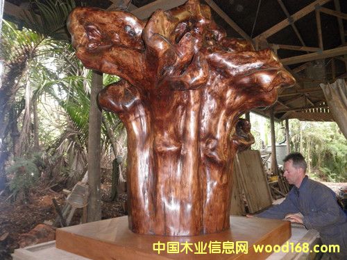 �����m5�f��ꎳ�ľ ���^չʾ��Ԕ��(x��)��B