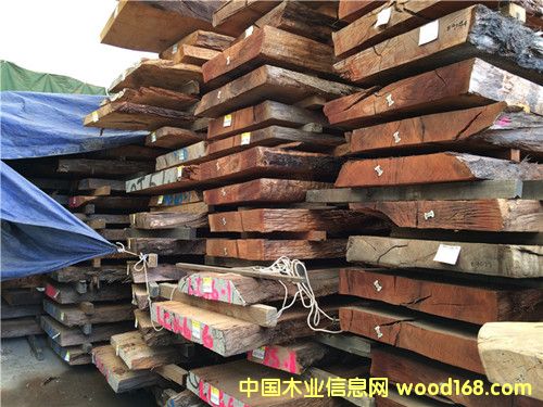 �����m���ҙ�ľ����Ԕ��(x��)��B