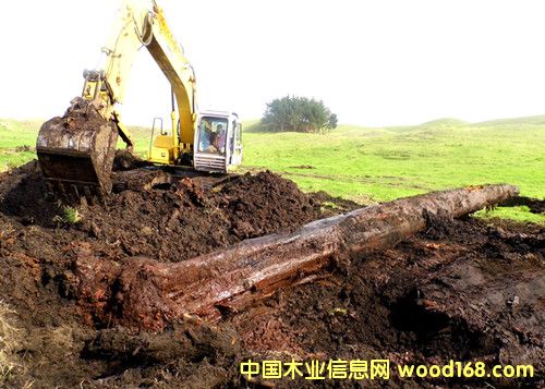 �����m5�f��ꎳ�ľ �ھ�F(xi��n)����Ԕ��(x��)��B