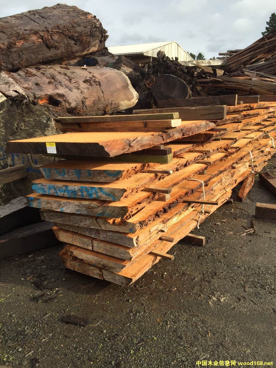 �����m���f��ꎳ�ľԭľ����Ԕ��(x��)��B