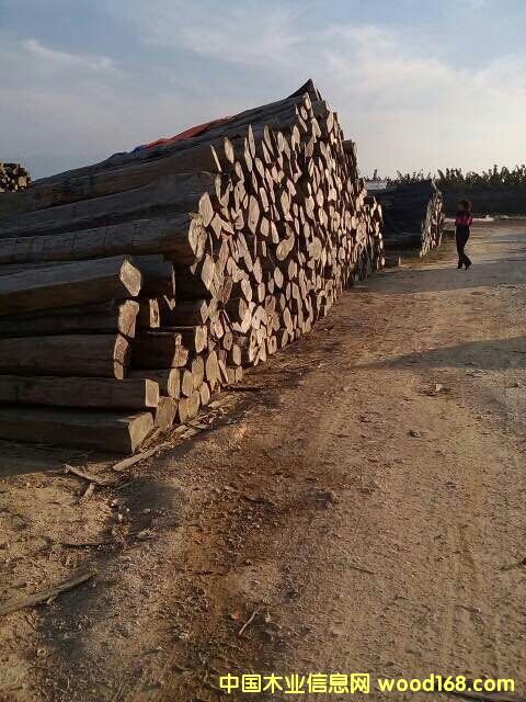 �c(di��n)���鿴��t��֦�Ŵ�DƬ