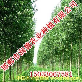 �c(di��n)���鿴�W��108�Ŵ�DƬ