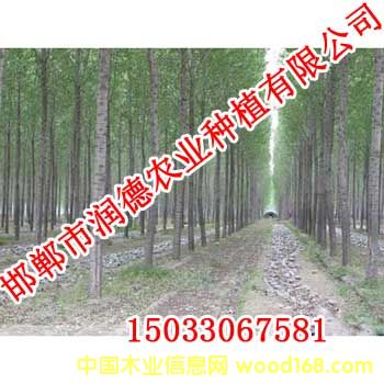 �c(di��n)���鿴����Ŵ�DƬ