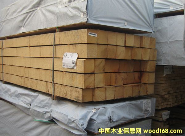 �Sѩ�ɵ�Ԕ����B