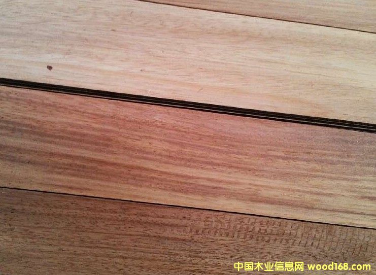 ��ľ��Ԕ����B