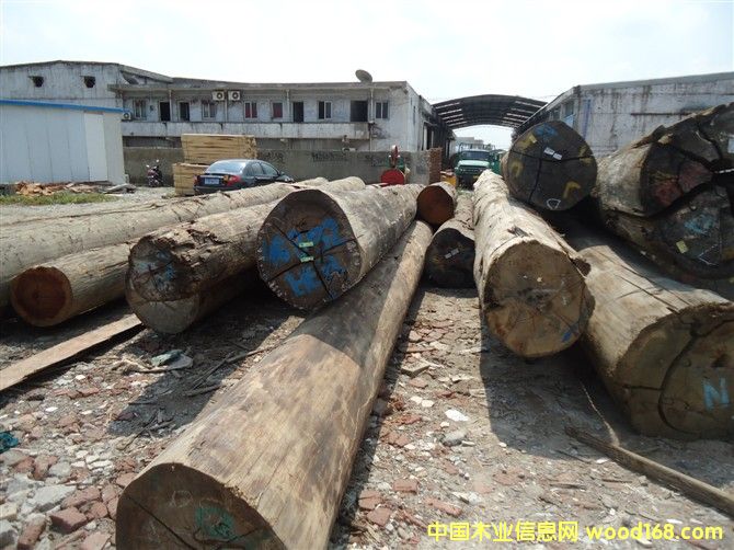 [��] ��¡ľ�����É|ľ����ľ���ڂ��ҵȸ��NӲľ����l(f��)�r(ji��)��ă�(y��u)