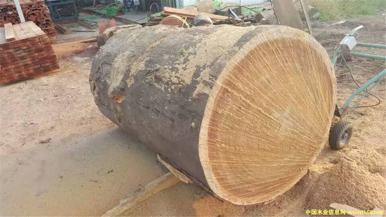 [��] ����(y��ng)���޲��}�����ľ