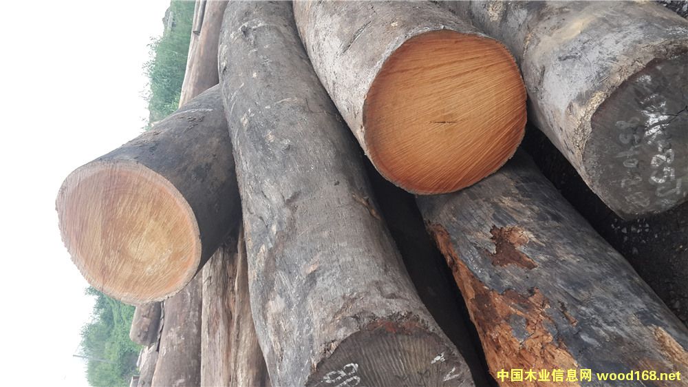 [��] ���É|ľ��ľ-��¡ľ�|ľ���ڂ��҉|ľ