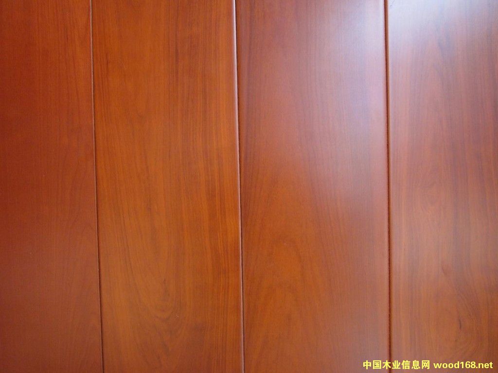 ̼�w�S��(sh��)ľ�ذ�S�ҵ�Ԕ��(x��)��B