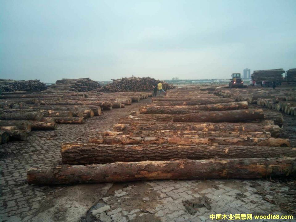 �����m�����ɵ�Ԕ����B