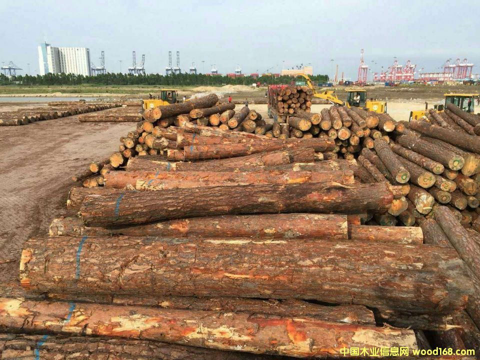 �����m�����ɵ�Ԕ����B