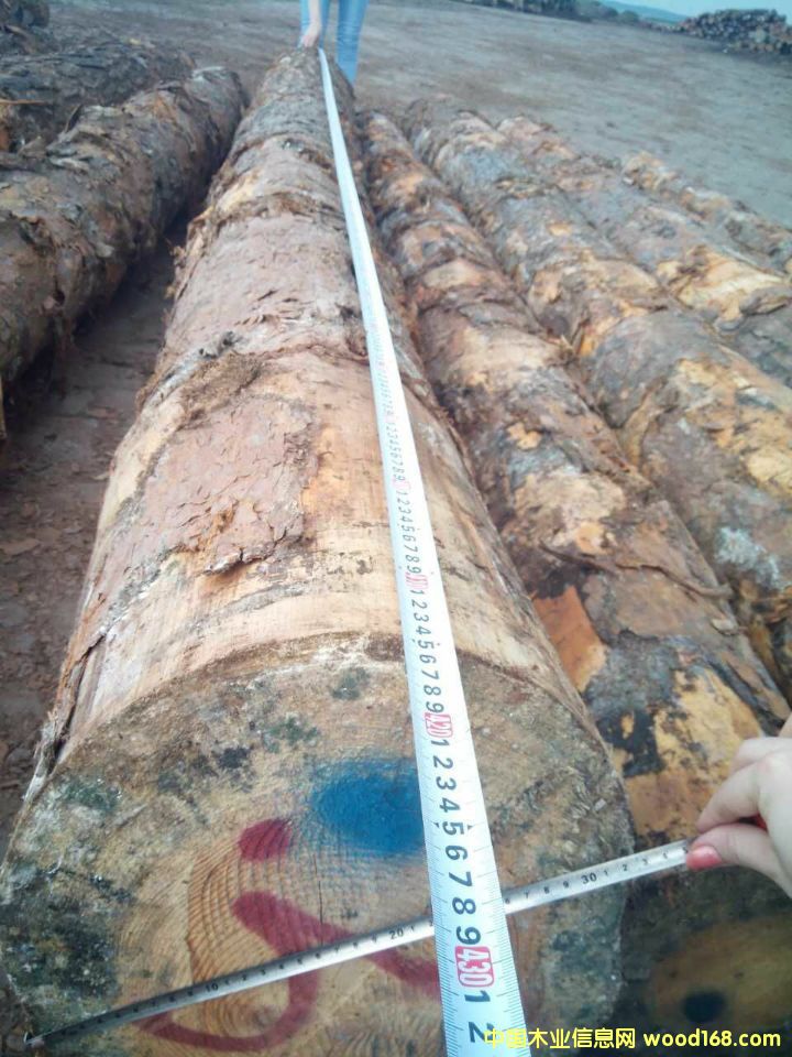 �����m�����ɵ�Ԕ����B