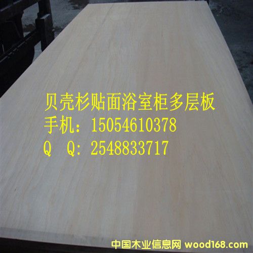 ؐ�����N����Ӱ�